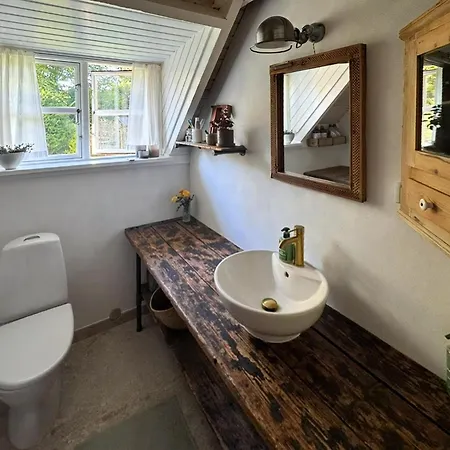 Thatched Near And Protected Nature Græsted