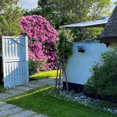 Thatched Near And Protected Nature