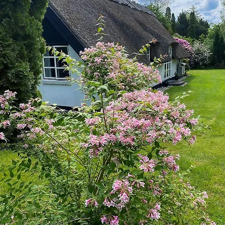 Thatched Near And Protected Nature * Græsted