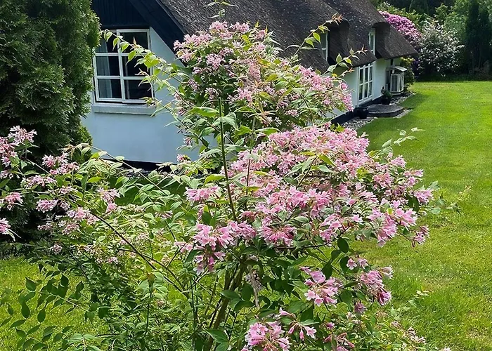 Thatched Near And Protected Nature * Græsted